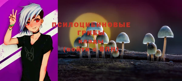 дживик Зерноград