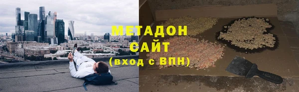 гидра Ельня