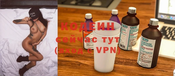 дживик Пестово