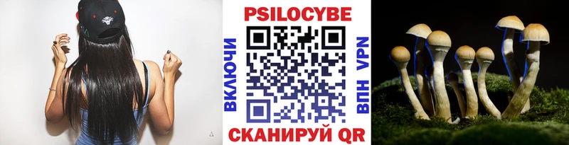 Псилоцибиновые грибы мицелий  Питкяранта 